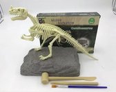 Dinosaurus opgravingsset - Ceratosaurus - Speelgoed - Dino fossiel