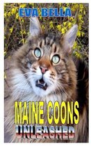 Maine Coon Unleashed