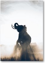 Olifant in Rijstveld - A2 Poster Staand - 42x59cm - Dieren