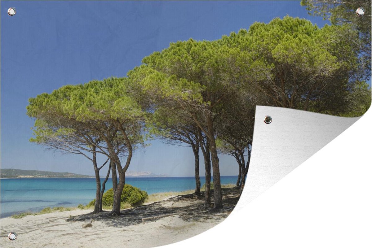 Tuinposter - Tuindoek - Tuinposters buiten - De dennenbomen op zandduin vanaf Pineta Santa Anna Sardinië - 120x80 cm - Tuin - GreatGardenPosters
