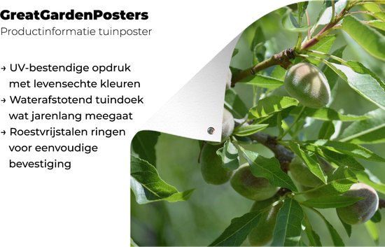 Affiche de jardin noix d'amande toile en vrac 160x120 cm - Toile de jardin / Toile d'extérieur / Peintures d'extérieur (décoration de jardin) XXL / Groot format!