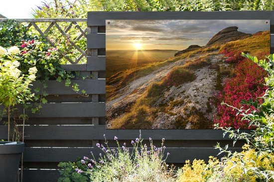 Fleurs roses sur le paysage vallonné de Dartmoor National Park Garden poster 120x80 cm - Toile de jardin / Toile d'extérieur / Peintures pour l'extérieur (décoration de jardin)