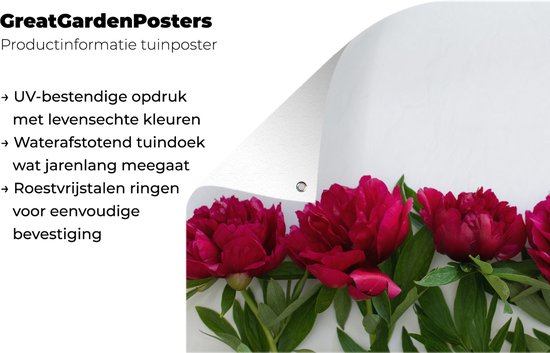 Affiche de jardin Rangée avec pivoines rouges 90x60 cm - Toile de jardin / Toile d'extérieur / Peintures d'extérieur (décoration de jardin)