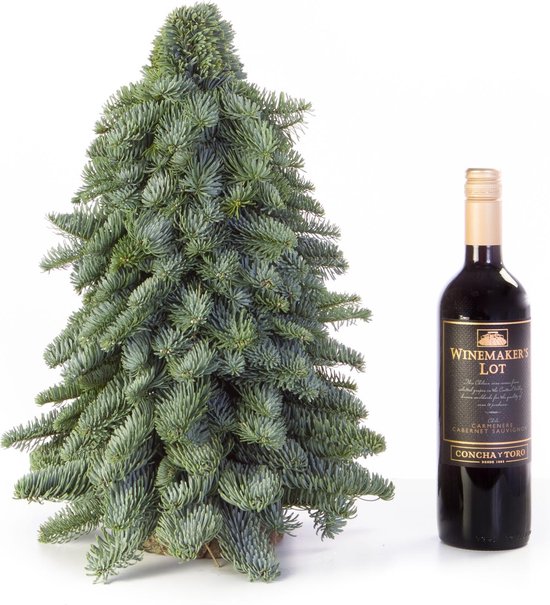 Nobilis Kerstboom - 40CM - Mini Kerstboompje - Handgemaakt - Vers Groen