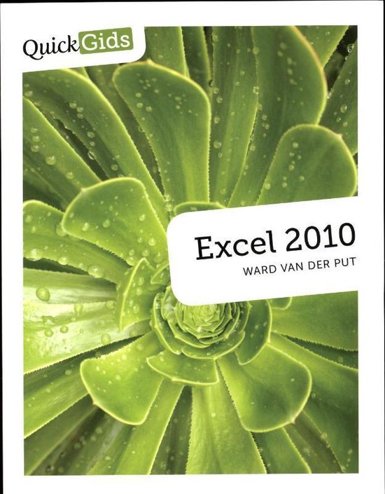 Cover van het boek 'Quickgids Excel 2010' van D. Holthuijsen