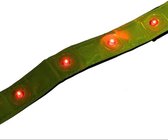 Reflecterende Hardloop Verlichting  - 3 Stuks  - Knipperende Veiligheidsbanden  - Waterdichte Lichtgevende LED Armbanden   - Inclusief Batterijen  - Veiligheid - lampjes - Rood / G