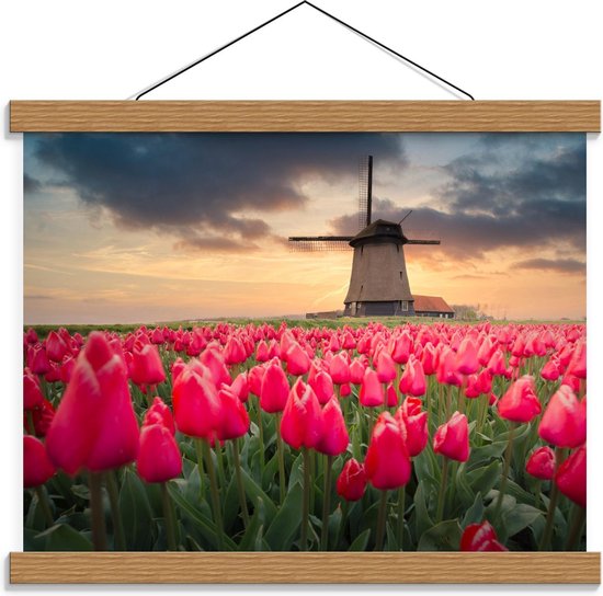 Schoolplaat – Felroze Tulpenveld voor Nederlandse Molen - 40x30cm Foto op Textielposter (Wanddecoratie op Schoolplaat)