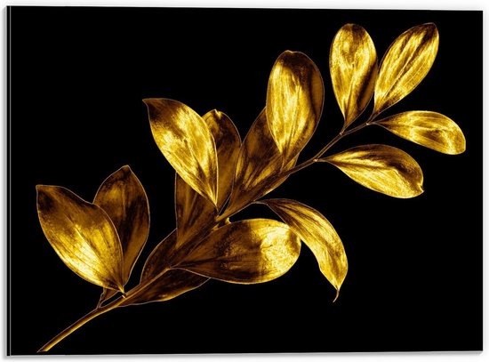 Dibond - Goud Blad op Zwarte Achtergrond - 40x30cm Foto op Aluminium (Wanddecoratie van metaal)