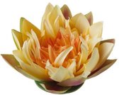 Velda Vijver Vijvertechniek Drijvende Vijverplant Lotus Geel 17Cm