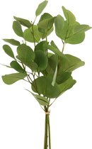 J-Line Eucalyptus Kort In Bundel Plastiek Groen - 6 stuks