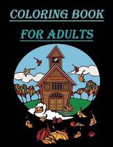 coloring book for adults