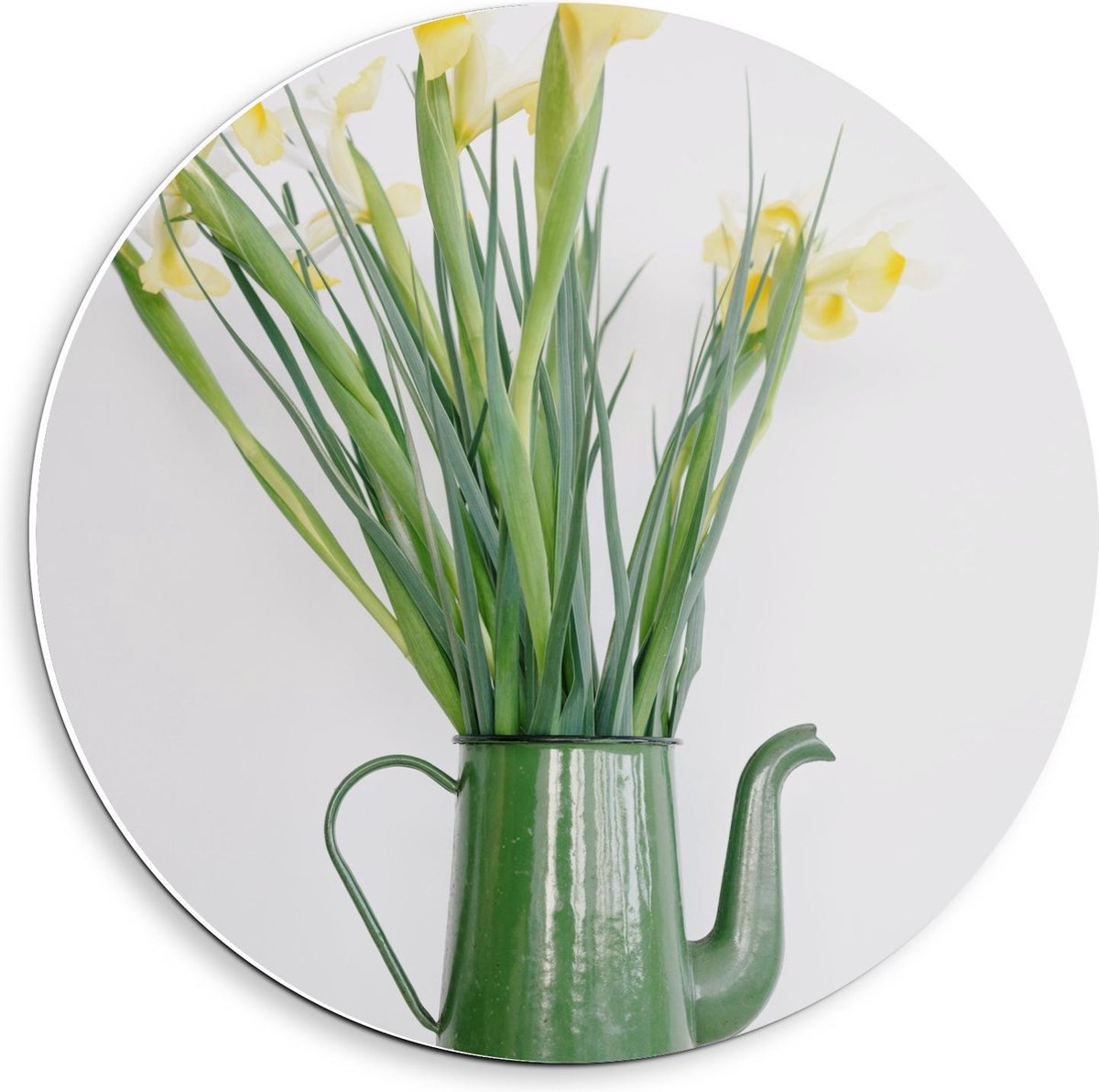 Forex Wandcirkel - Groene Gieter met Bloemetjes - 40x40cm Foto op Wandcirkel (met ophangsy