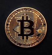 Bitcoin munt - Bitcoin - Bitcoin munt met hoesje - BTC Munt