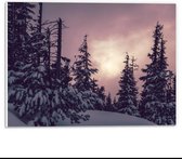 Forex - Paarse Lucht bij Besneeuwde bomen - 40x30cm Foto op Forex