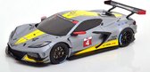 Corvette C8.R Presentation 2020 Grey/Yellow/Red