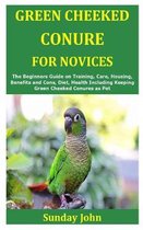 Green Cheeked Conure for Novices