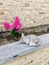Slapende kat klein taupe gestreept 9 cm hoog - kitten - poes - polyester - polystone - beeld - tuinbeeld - hoogkwalitatieve kunststof - decoratiefiguur - interieur - accessoire - v