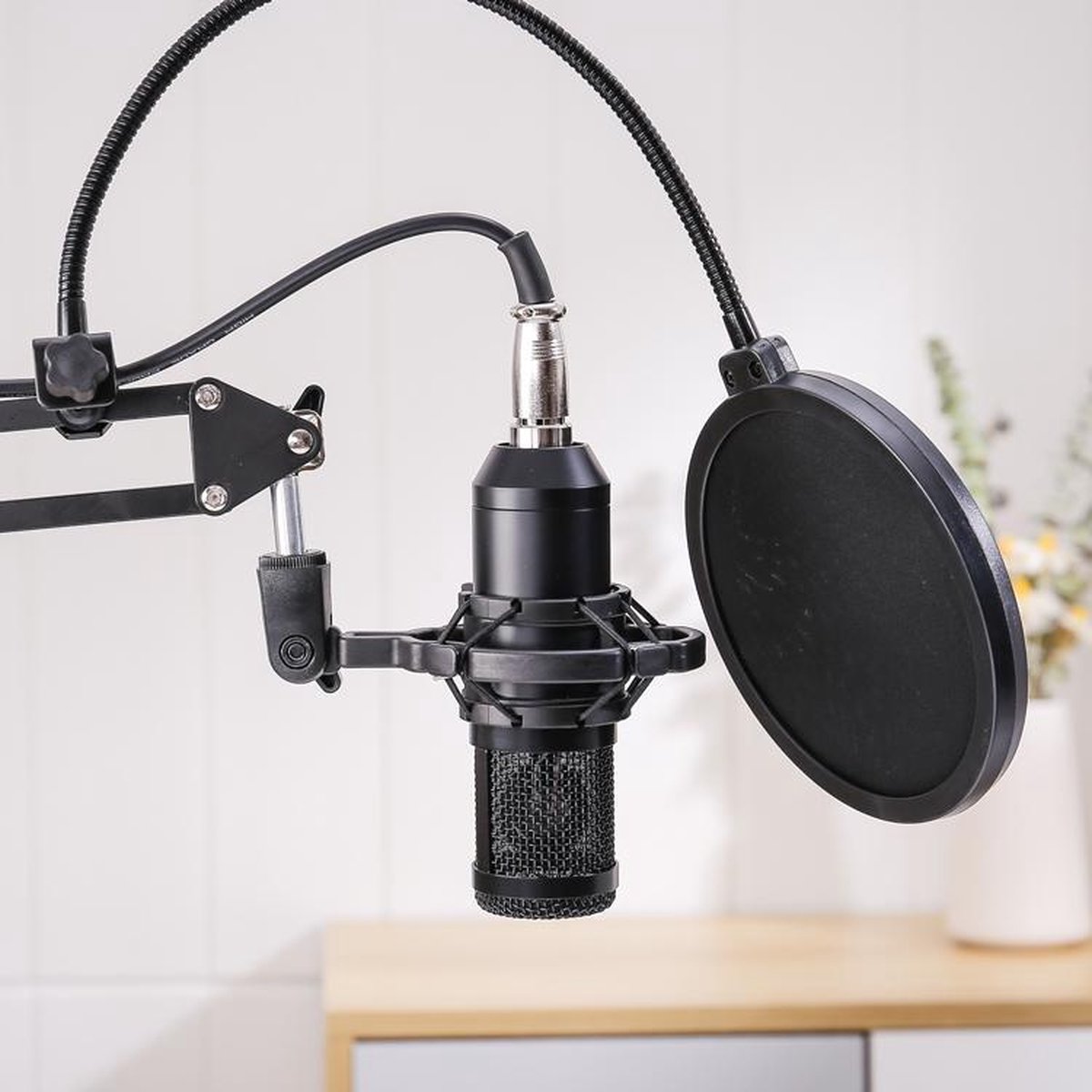 Professionele Studio Microfoon Podcast studio USB