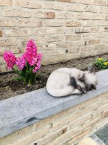 Slapende kat S2 Siamees Crème 10 cm hoog - poes - polyester - polystone - beeld - tuinbeeld - hoogkwalitatieve kunststof - decoratiefiguur - interieur - accessoire - voor binnen -