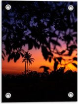 Tuinposter – Palmboom in Oranje Lucht - 30x40cm Foto op Tuinposter  (wanddecoratie voor buiten en binnen)