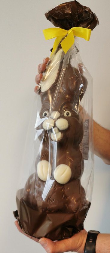 REUZE Chocolade Paashaas 50cm x 15cm HOOG Geschenk 1 Kilo van Bonbiance - Bonbiance