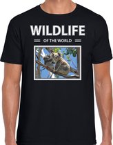 Dieren foto t-shirt Koala - zwart - heren - wildlife of the world - cadeau shirt Koalas liefhebber L