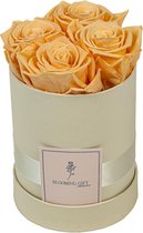 Flowerbox longlife rozen | WHITE | Small | Bloemenbox | Longlasting roses PEACH | Rozen | Roses | Flowers