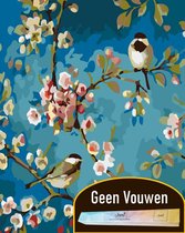 Joeni® Schilderen Op Nummer - 40x50 cm - Vogels tussen Bloemen - Volwassenen - Zonder Vouwen