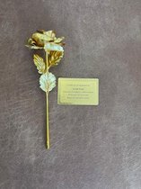 Gouden Roos