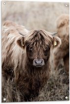 Tuinposter – Kleine Schotse Hooglander in Grassen - 60x90cm Foto op Tuinposter  (wanddecoratie voor buiten en binnen)