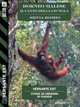 Versante Est - Borneo Malese - Il canto della giungla