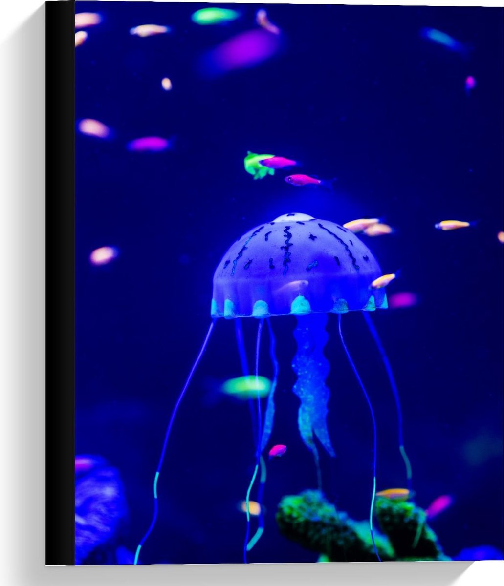 Canvas - Blauwe Kwal in Aquarium - 30x40cm Foto op Canvas Schilderij (Wanddecoratie op Canvas)