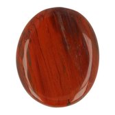 Fossiel hout zaksteen Madagaskar