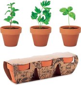 Terracotta potjes | set van 3 | kruiden mint peterselie basilicum - Moederdag cadeautje