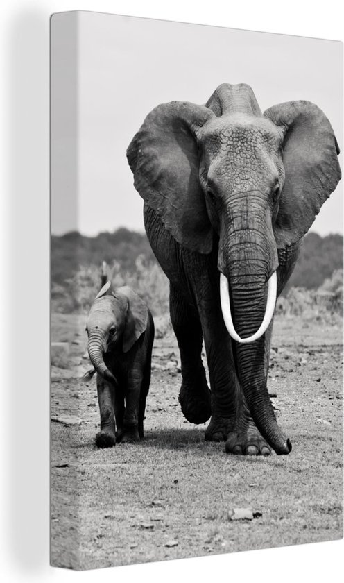 Canvas zwart wit - Olifant - Baby olifant - Afrikaanse olifant - Savanne - Slagtanden - Zwart Wit - Foto op canvas - 20x30 cm