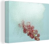 Les raisins provoquent un nuage de bulles 80x60 cm - Tirage photo sur toile (Décoration murale salon / chambre)