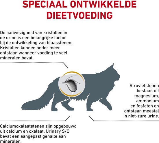 Royal Canin Urinary S/O - Kattenvoer - 9 kg - Royal Canin Veterinary Diet