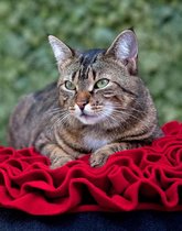 ROOS uniek kattenbed | Pet-Interiors fleece rood / grijs 55 cm