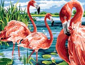 Schilderen op Nummer - Flamingo's - Painting by Numbers - 50x40 cm - Complete Set
