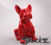 Hond franse bulldog rood 37 cm