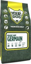 Yourdog braque saint germain pup (3 KG)