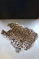 Vachtje lynx
