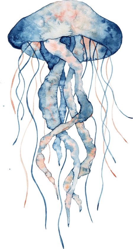 Poster Jellyfish_No2 13x18 cm