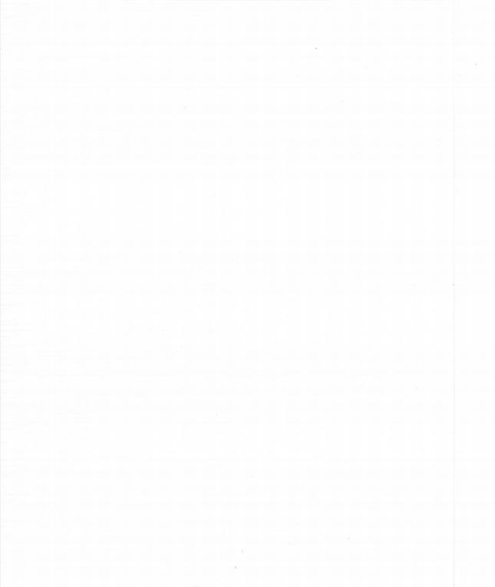 20 Linnen kaarten papier - A5 - Wit - Cardstock - 21 x 14,8cm - 240 grams - karton