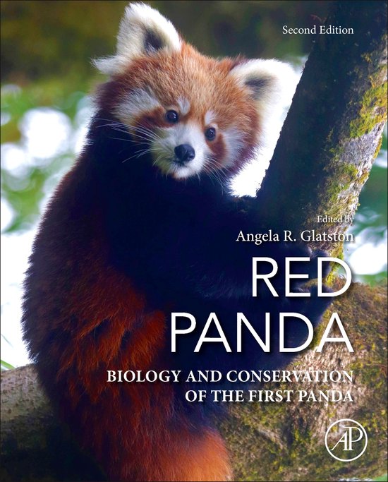 Red Panda - cover