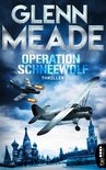 Polit-Thriller von Bestseller-Autor Glenn Meade 1 - Operation Schneewolf