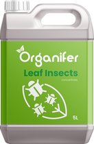 Leaf Insects Bladinsecten Concentraat - 5 liter voor 5000m2 - Toepasbaar bij bladluizen, schildluis, wortelluis, rupsen, galmug, spint, tripsen, bladvlo en andere zuigende of vretende bladinsecten - Organifer