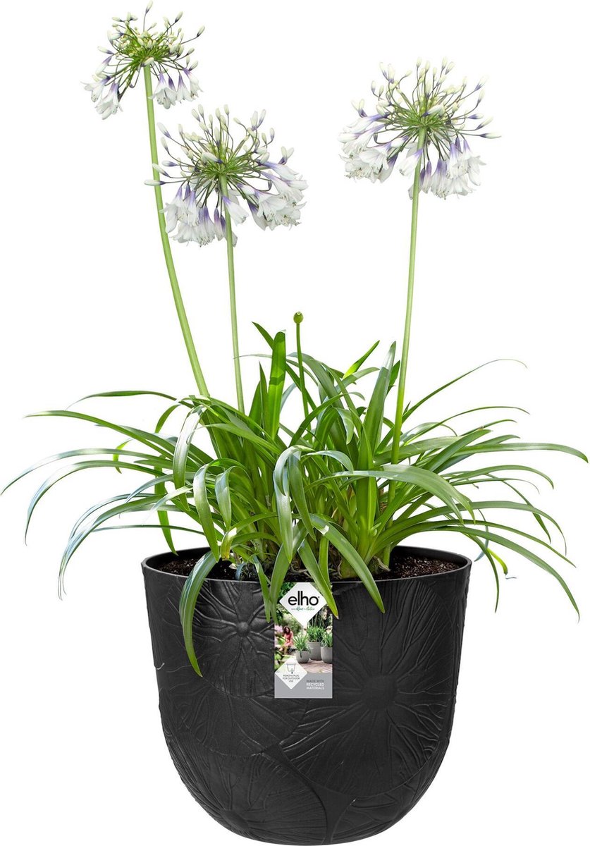 Elho Vaso Fuente Lily Round 30 - Design Moderno Per Interni Ed Esterni - Diametro 29.5 X H 24.5 Cm - Colore Nero Opaco (Onyx Black)
