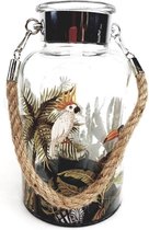 Safari style Jar with LED bulb 11*18.5