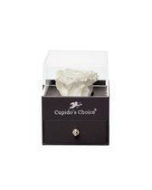 Cupido’s Choice ® Sieradendoos met Echte Witte Roos - Geconserveerde Roos